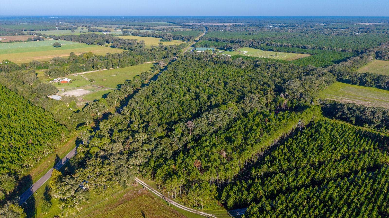 TBD 00 NW COUNTY ROAD 339, Trenton, FL 32693 TBD 00 NW COUNTY ROAD 339, Trenton, FL 32693