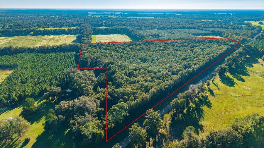 Property photo for TBD 00 NW COUNTY ROAD 339, Trenton, FL
