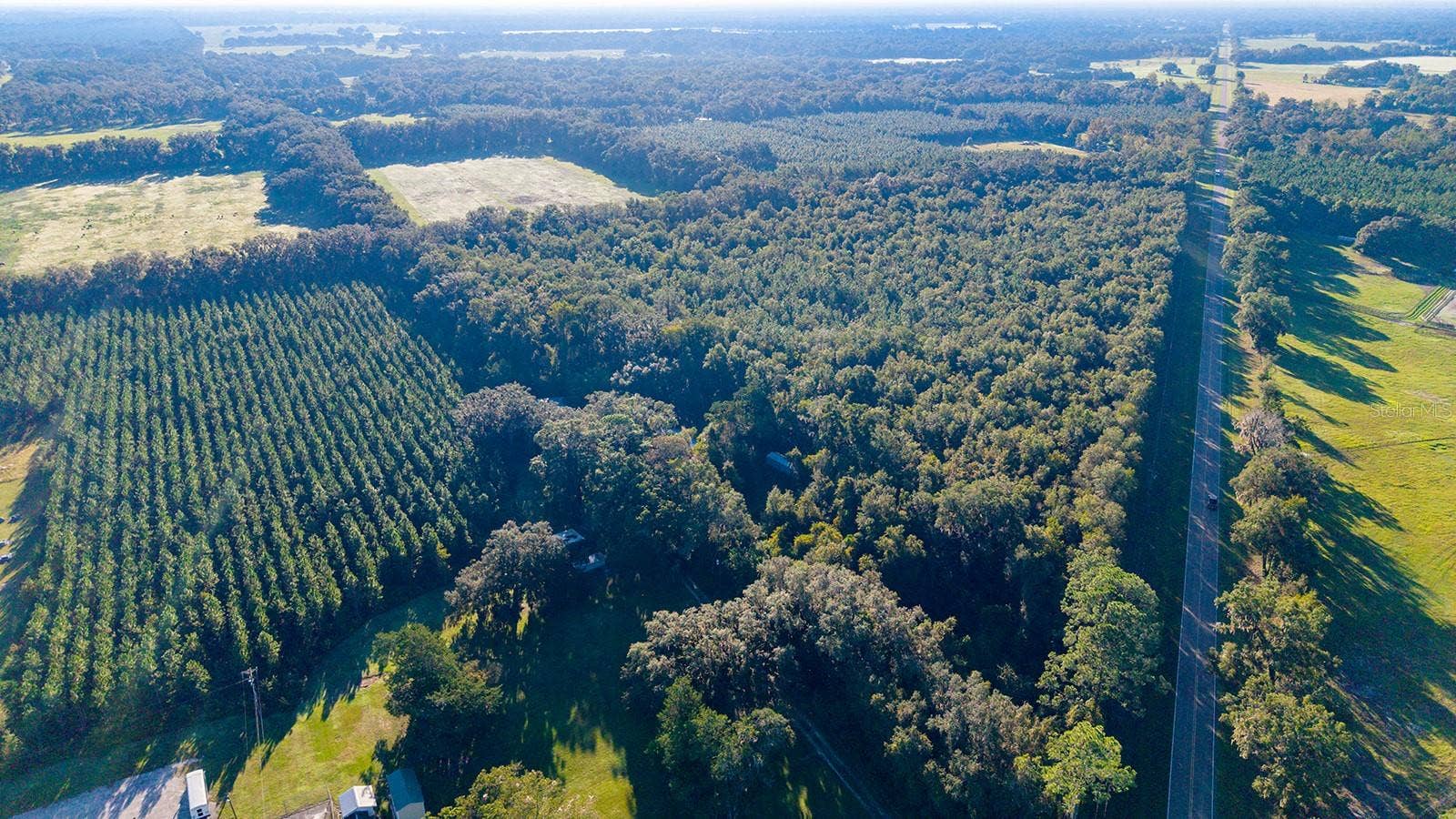 TBD 00 NW COUNTY ROAD 339, Trenton, FL 32693 TBD 00 NW COUNTY ROAD 339, Trenton, FL 32693