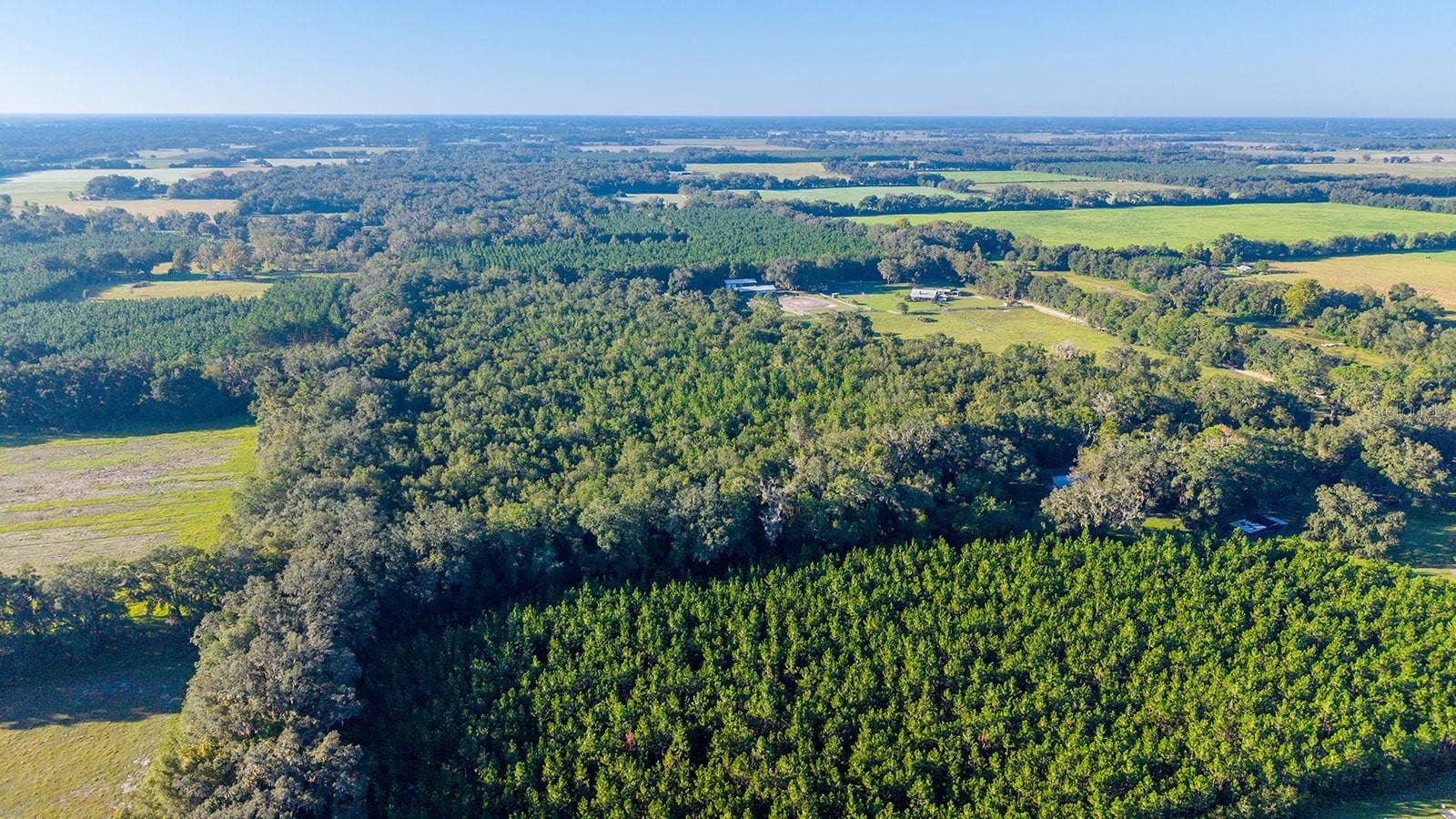 TBD 00 NW COUNTY ROAD 339, Trenton, FL 32693 TBD 00 NW COUNTY ROAD 339, Trenton, FL 32693