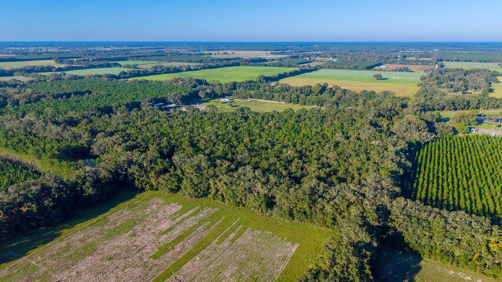 TBD 00 NW COUNTY ROAD 339, Trenton, FL 32693 TBD 00 NW COUNTY ROAD 339, Trenton, FL 32693