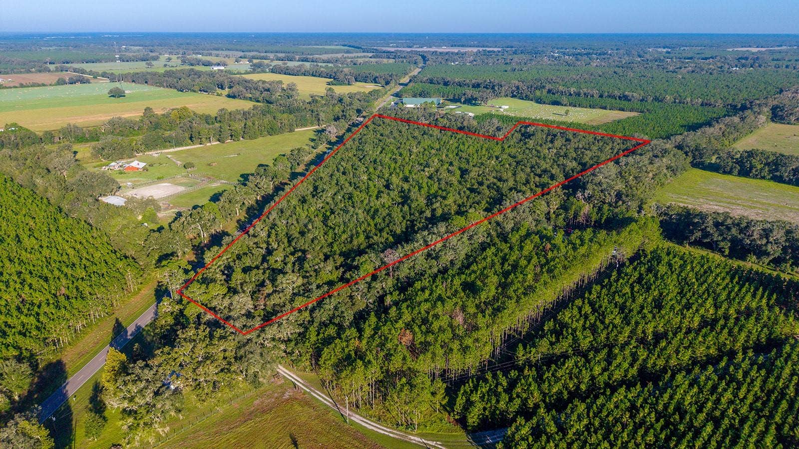 TBD 00 NW COUNTY ROAD 339, Trenton, FL 32693 TBD 00 NW COUNTY ROAD 339, Trenton, FL 32693