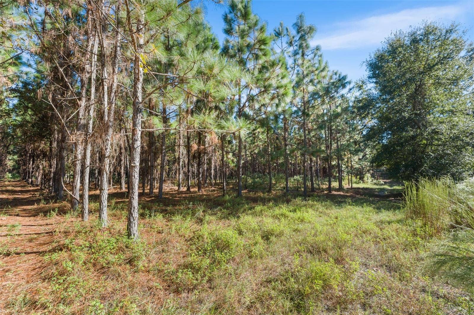 High Springs, FL 32643 High Springs, FL 32643