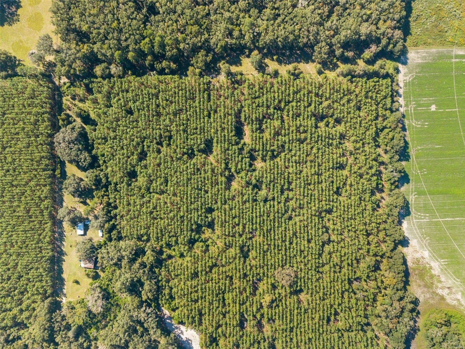 High Springs, FL 32643 High Springs, FL 32643