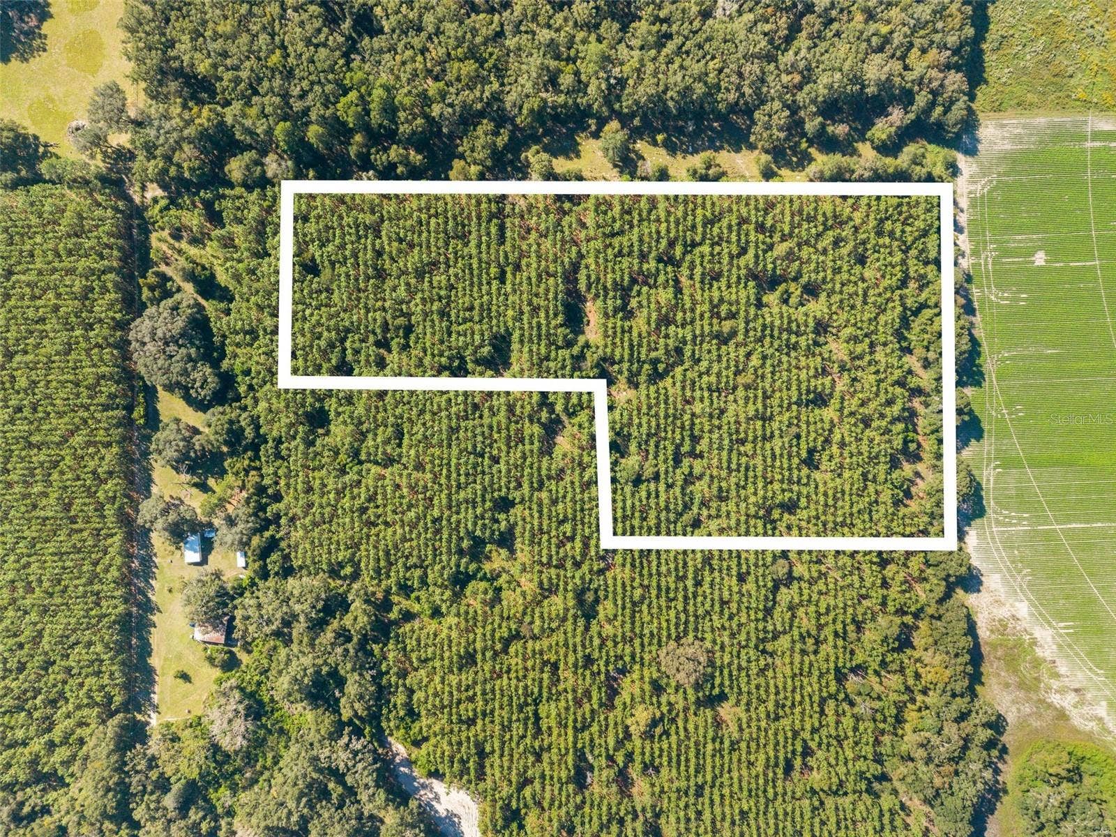High Springs, FL 32643 High Springs, FL 32643