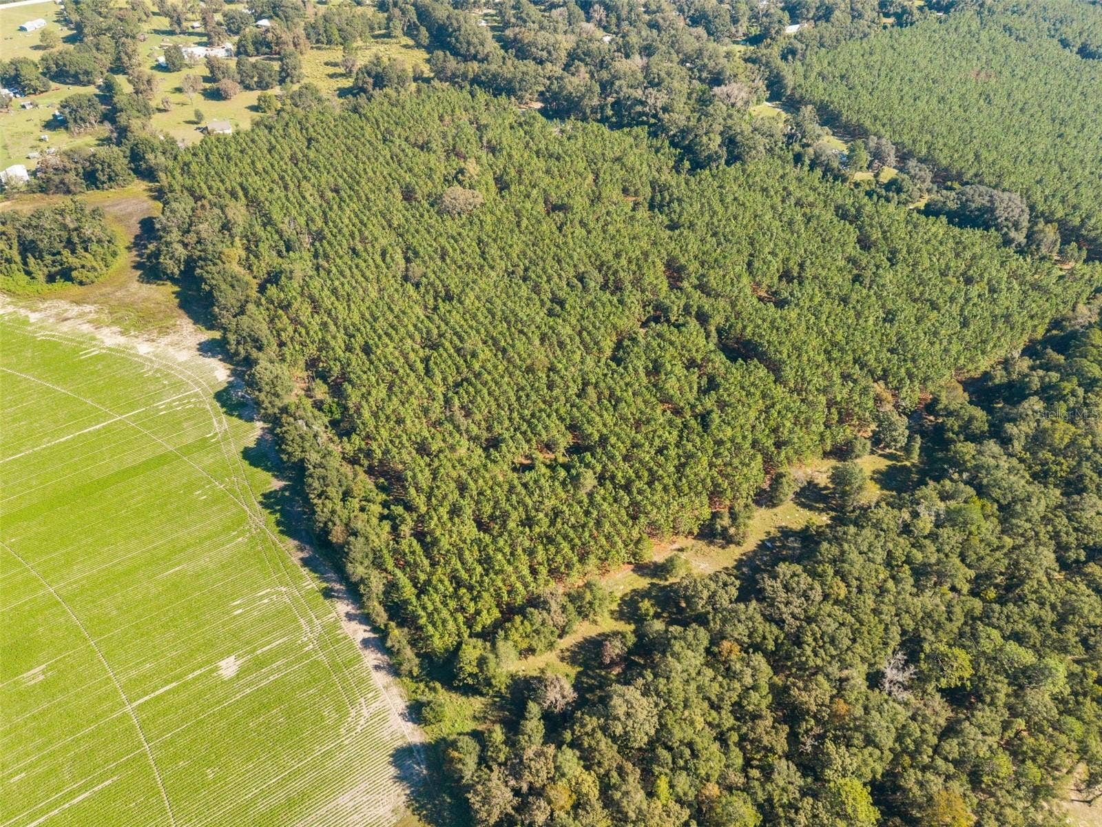 High Springs, FL 32643 High Springs, FL 32643