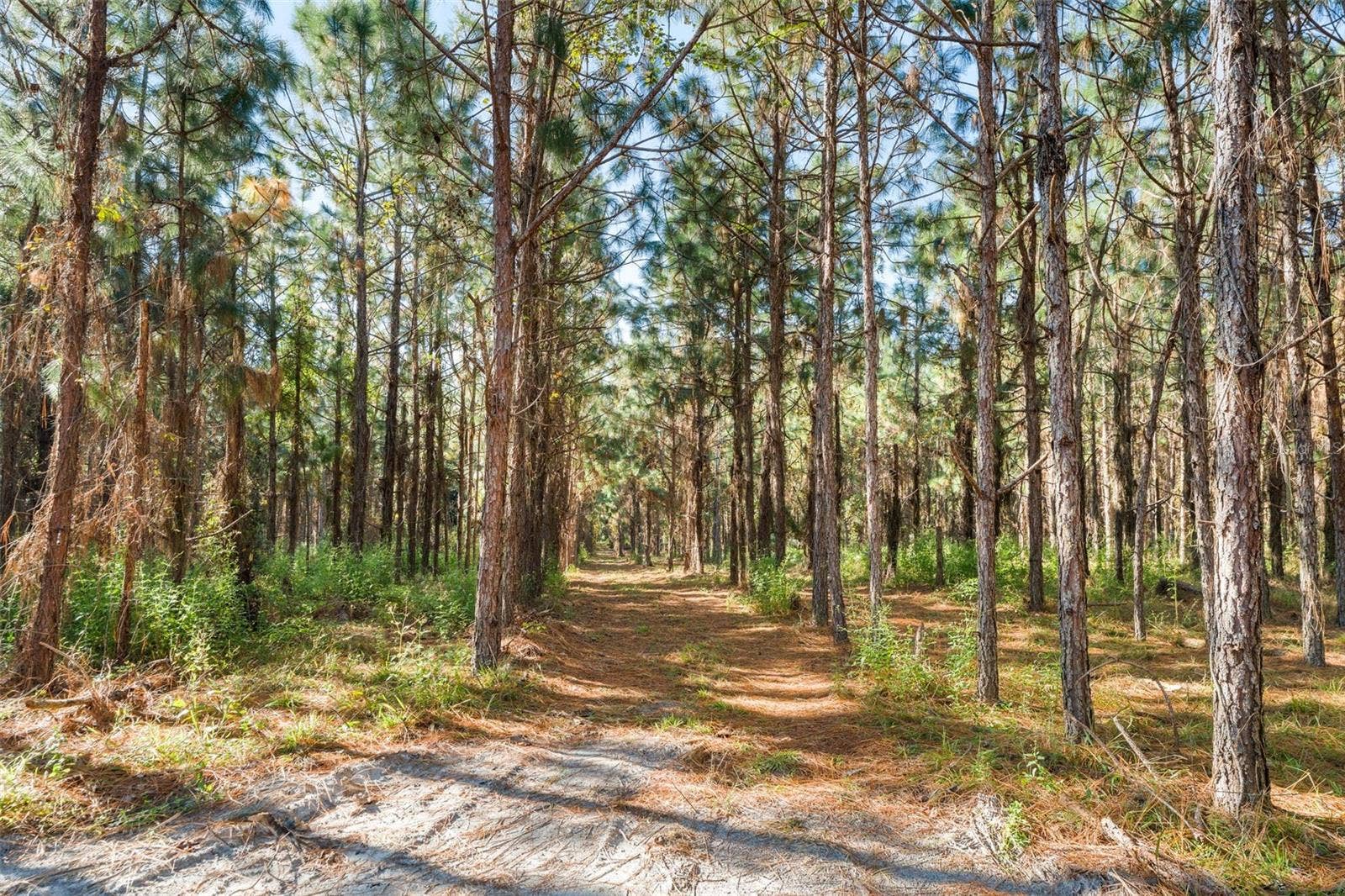 High Springs, FL 32643 High Springs, FL 32643