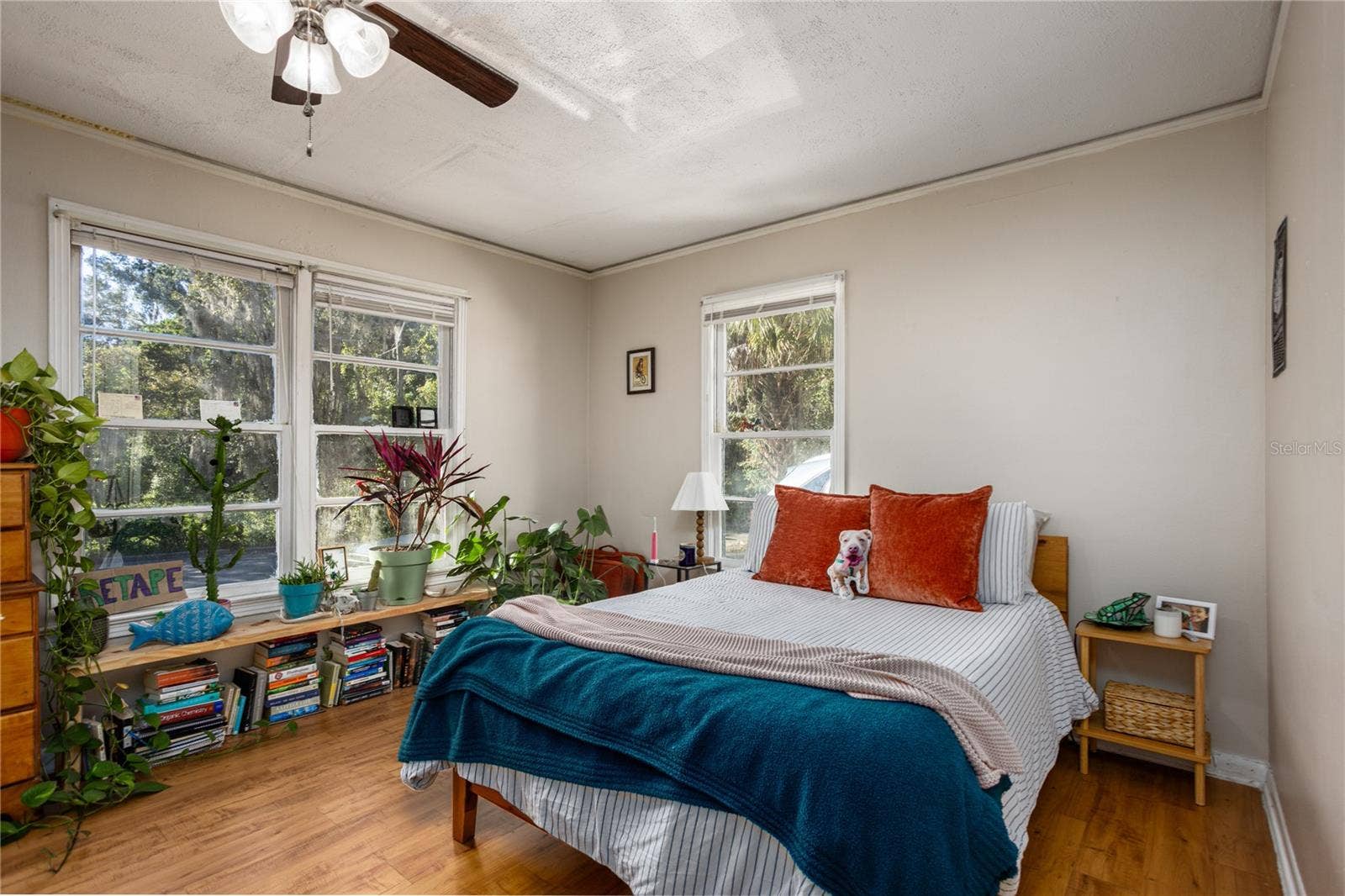 213 NE BLVD BOULEVARD, #213-215, Gainesville, FL 32601