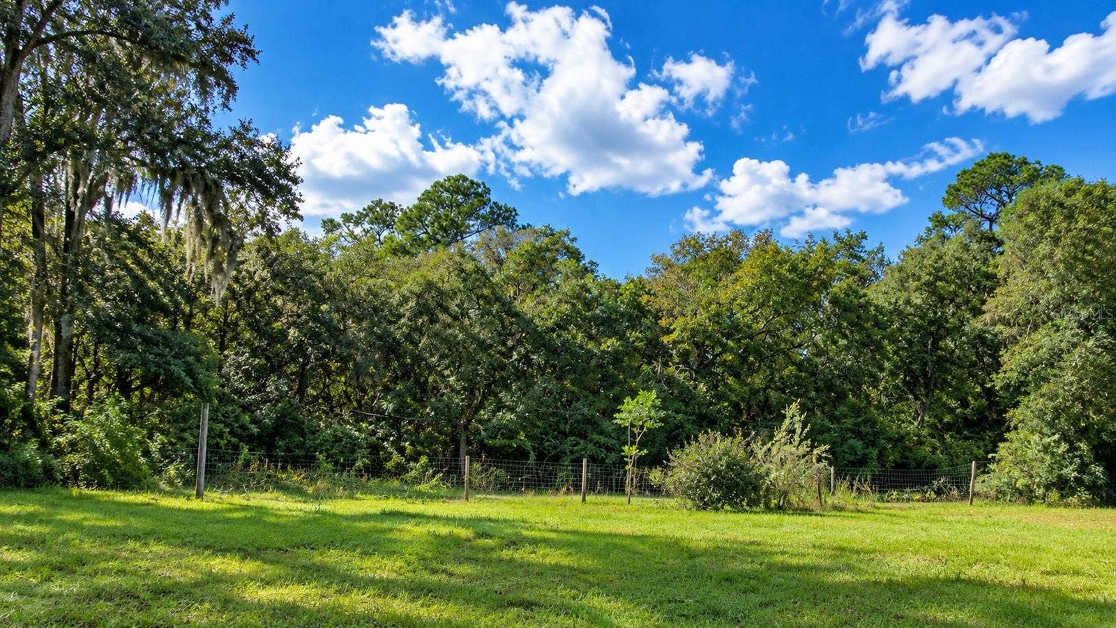 2591 SE 27TH STREET, Gainesville, FL 32641