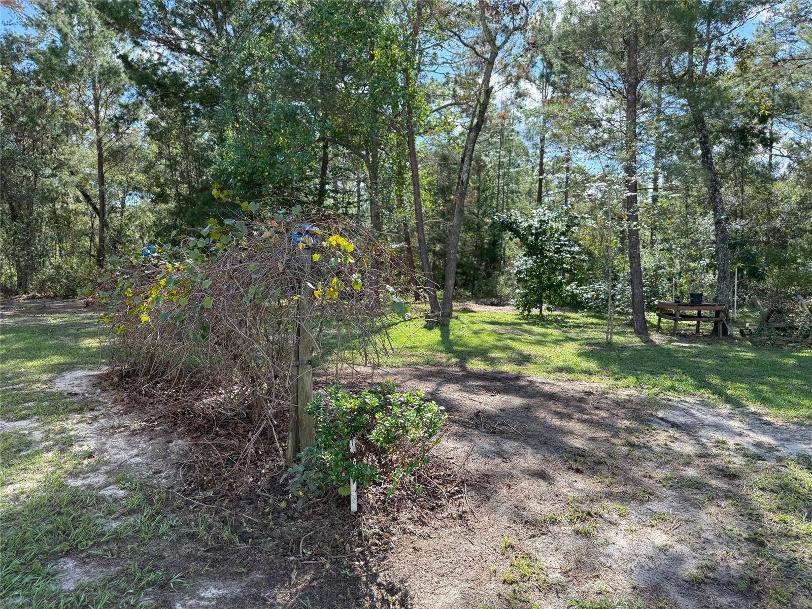 6035 OAK LEAF ROAD, Keystone Heights, FL 32656 6035 OAK LEAF ROAD, Keystone Heights, FL 32656
