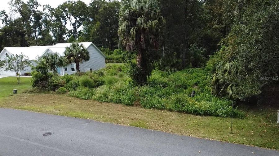 Property photo for 9239 EMILY DRIVE, Fanning Springs, FL