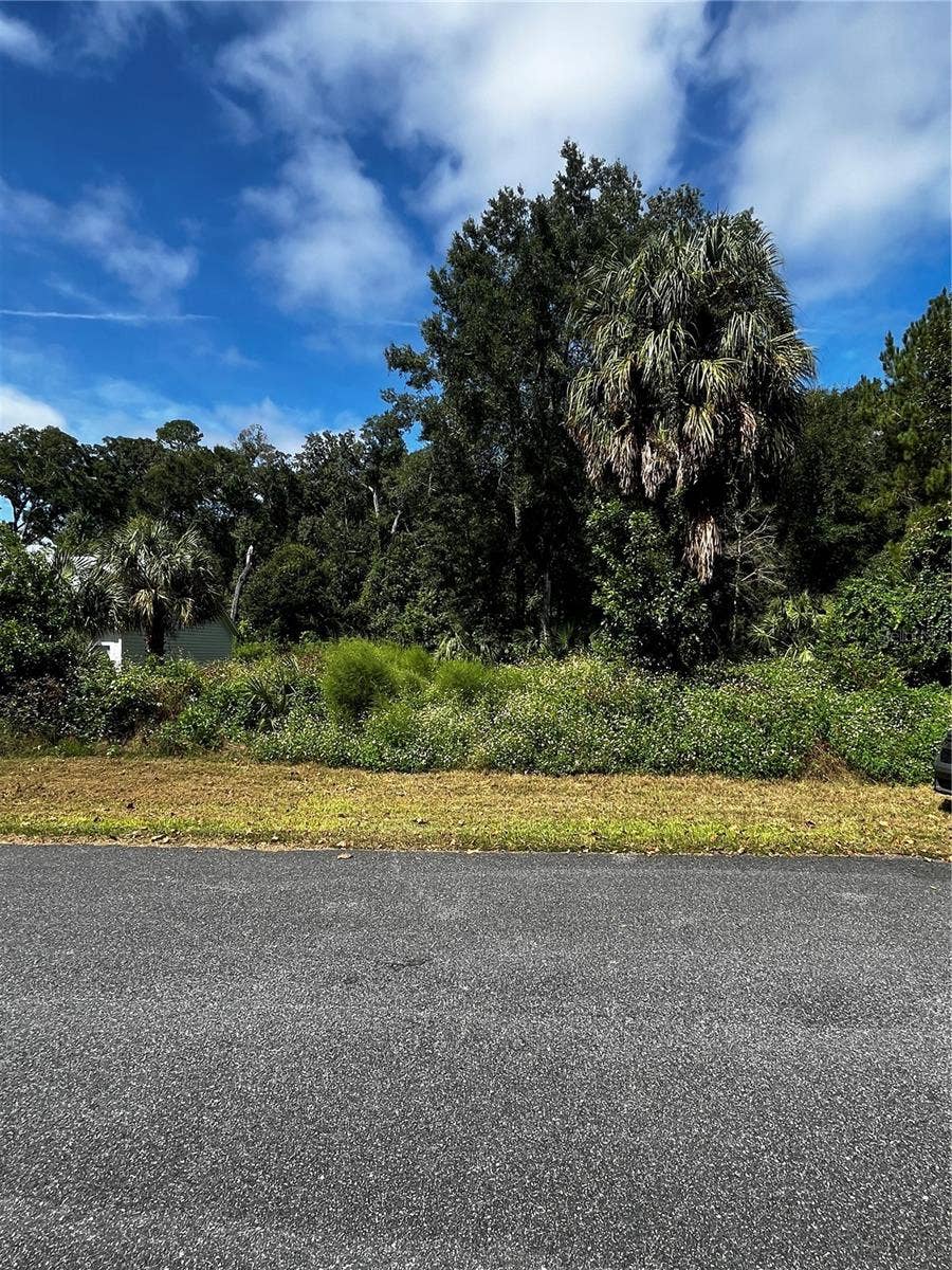 Property photo for 9239 EMILY DRIVE, Fanning Springs, FL