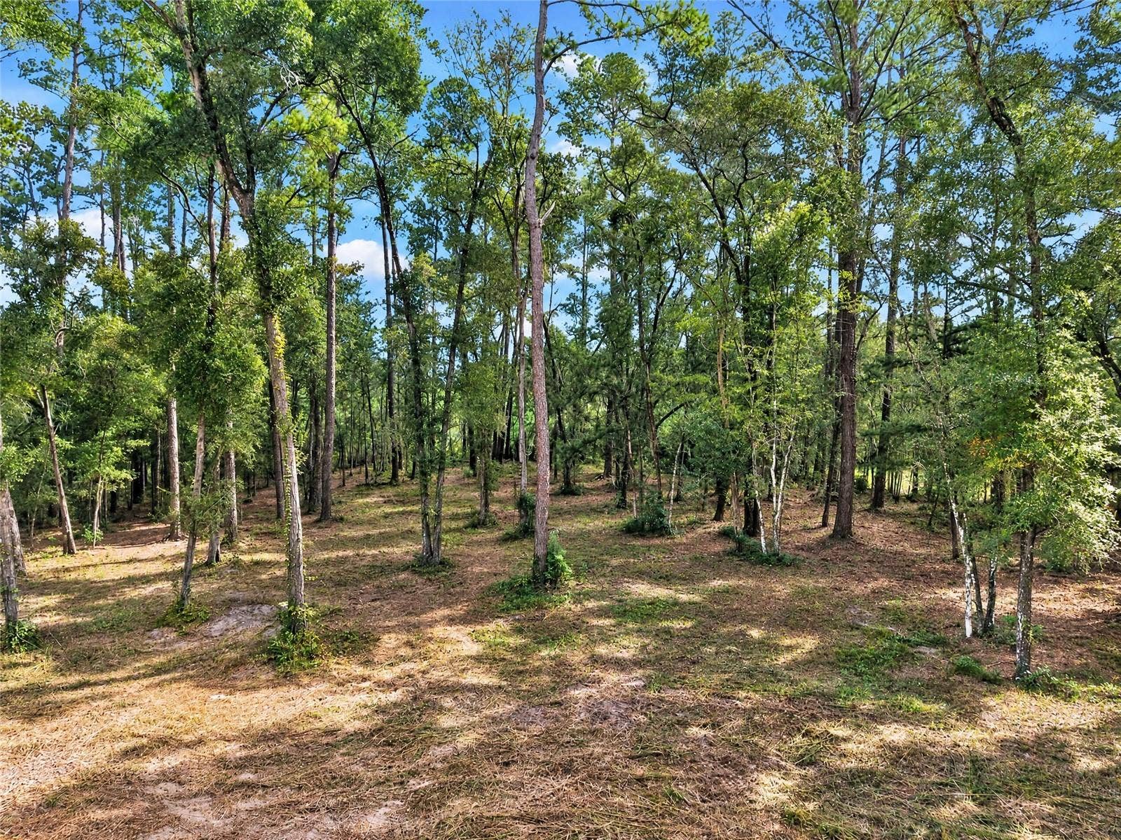 2425 NW 162ND STREET, Newberry, FL 32669 2425 NW 162ND STREET, Newberry, FL 32669