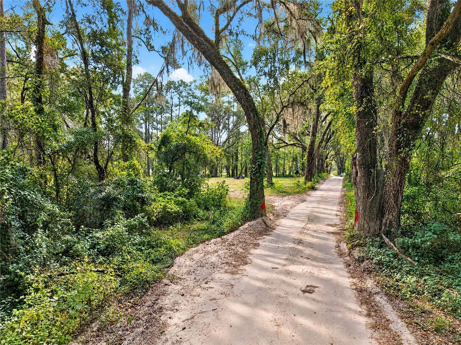 2425 NW 162ND STREET, Newberry, FL 32669 2425 NW 162ND STREET, Newberry, FL 32669