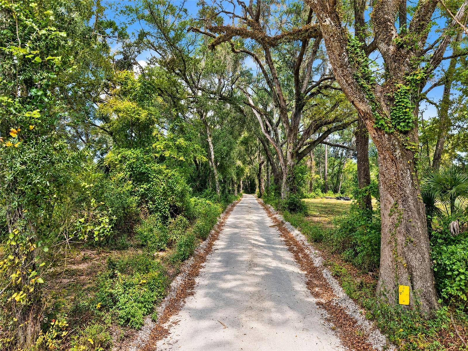 2425 NW 162ND STREET, Newberry, FL 32669 2425 NW 162ND STREET, Newberry, FL 32669