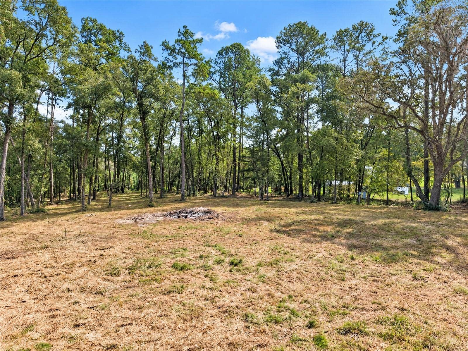 2425 NW 162ND STREET, Newberry, FL 32669 2425 NW 162ND STREET, Newberry, FL 32669