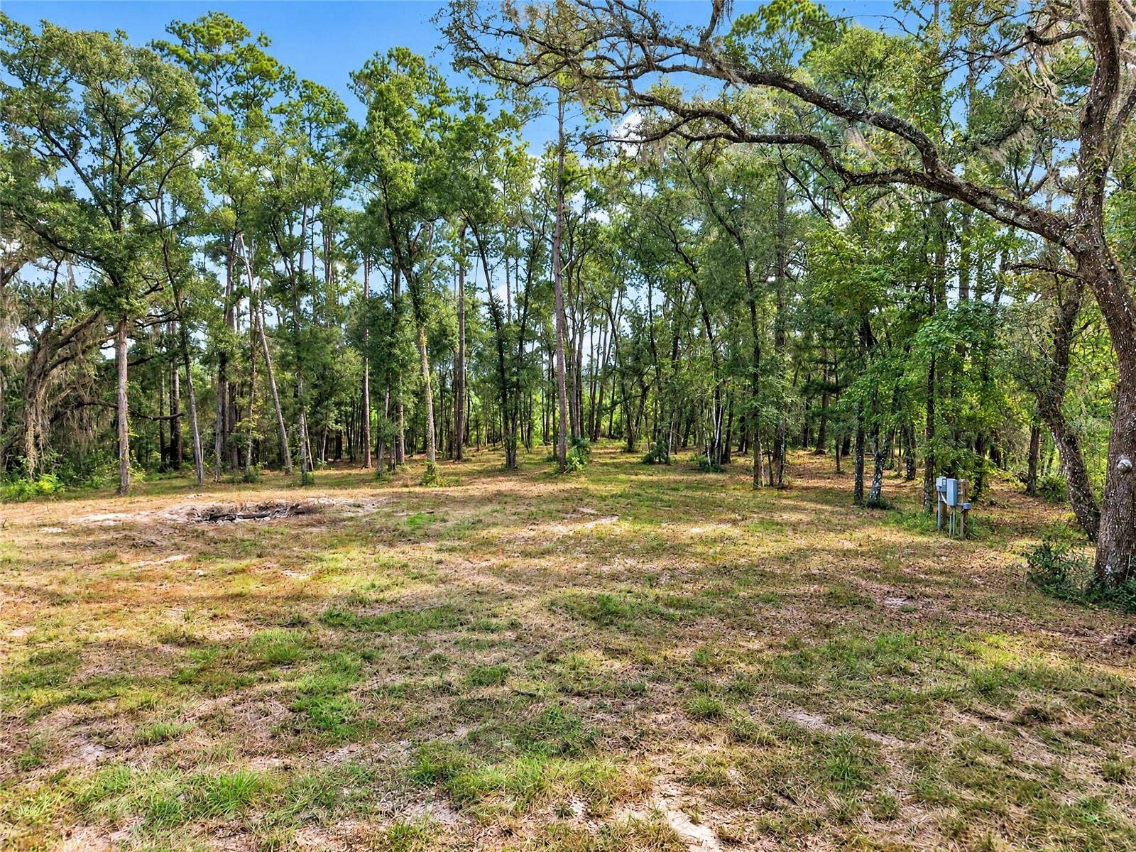 2425 NW 162ND STREET, Newberry, FL 32669 2425 NW 162ND STREET, Newberry, FL 32669