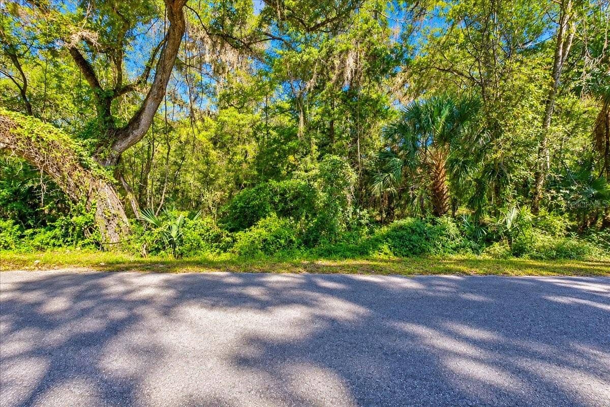 NE 399TH STREET, Old Town, FL 32680 NE 399TH STREET, Old Town, FL 32680