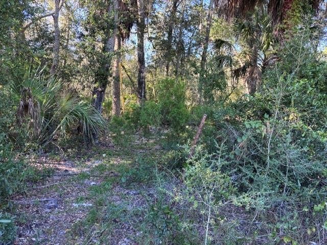 7450 SW STATE ROAD 24, Cedar Key, FL 32625 7450 SW SR 24, Cedar Key