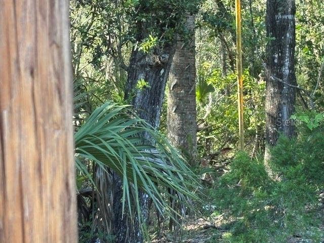 7450 SW STATE ROAD 24, Cedar Key, FL 32625 electric pole at left-hand side
