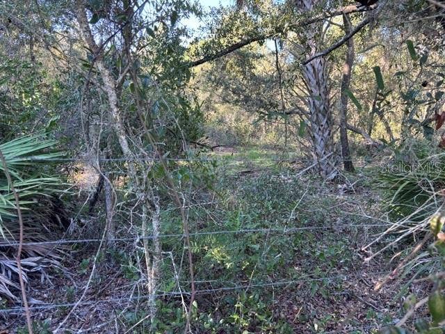 7450 SW STATE ROAD 24, Cedar Key, FL 32625 front of property is fenced