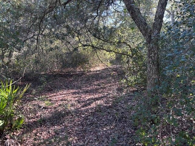 7450 SW STATE ROAD 24, Cedar Key, FL 32625 path takes you to interior of property