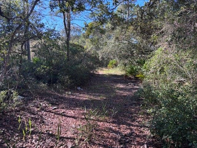 7450 SW STATE ROAD 24, Cedar Key, FL 32625 beautiful path thru woods