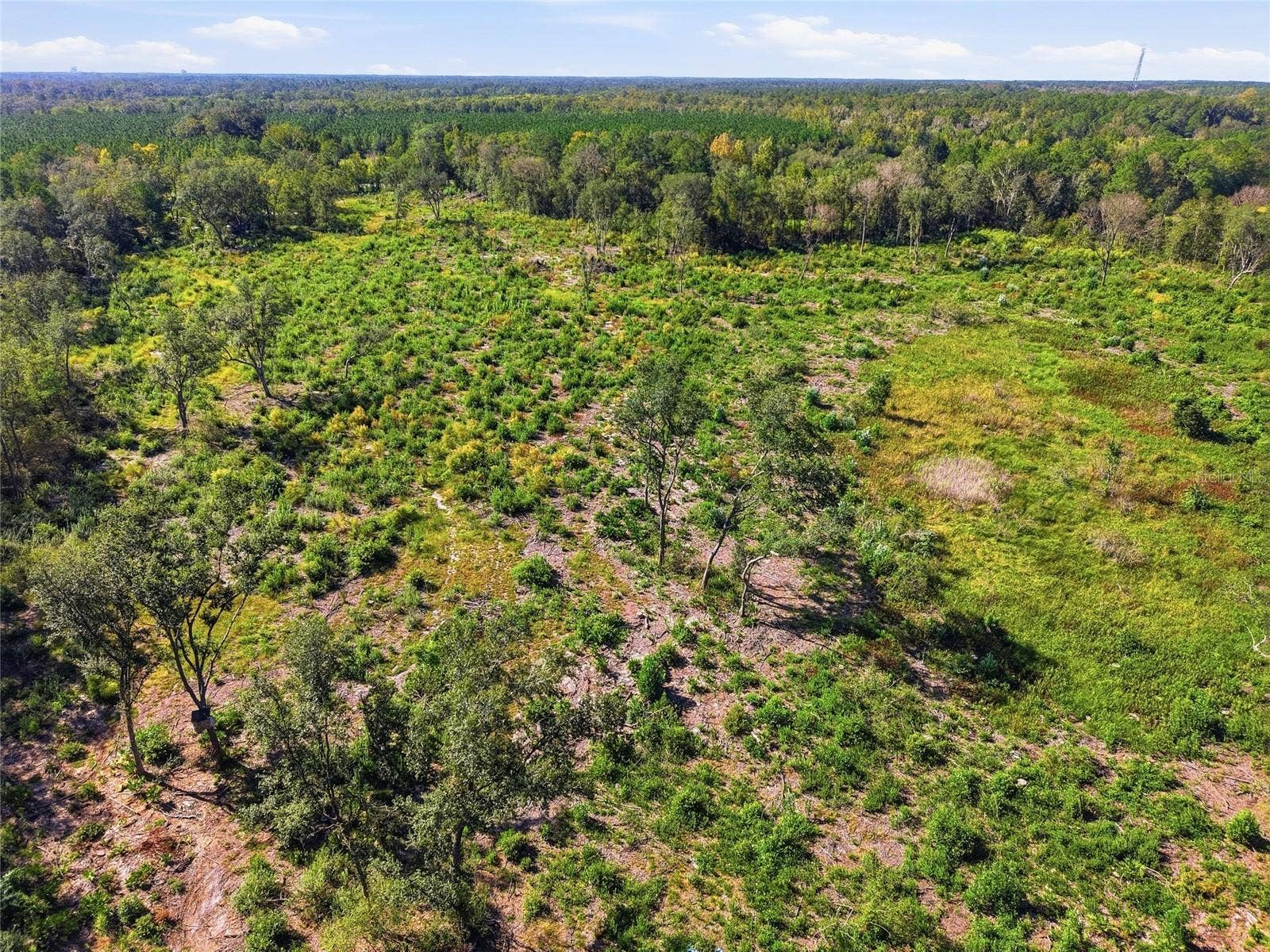 4408 W STATE ROAD 235, La Crosse, FL 32658