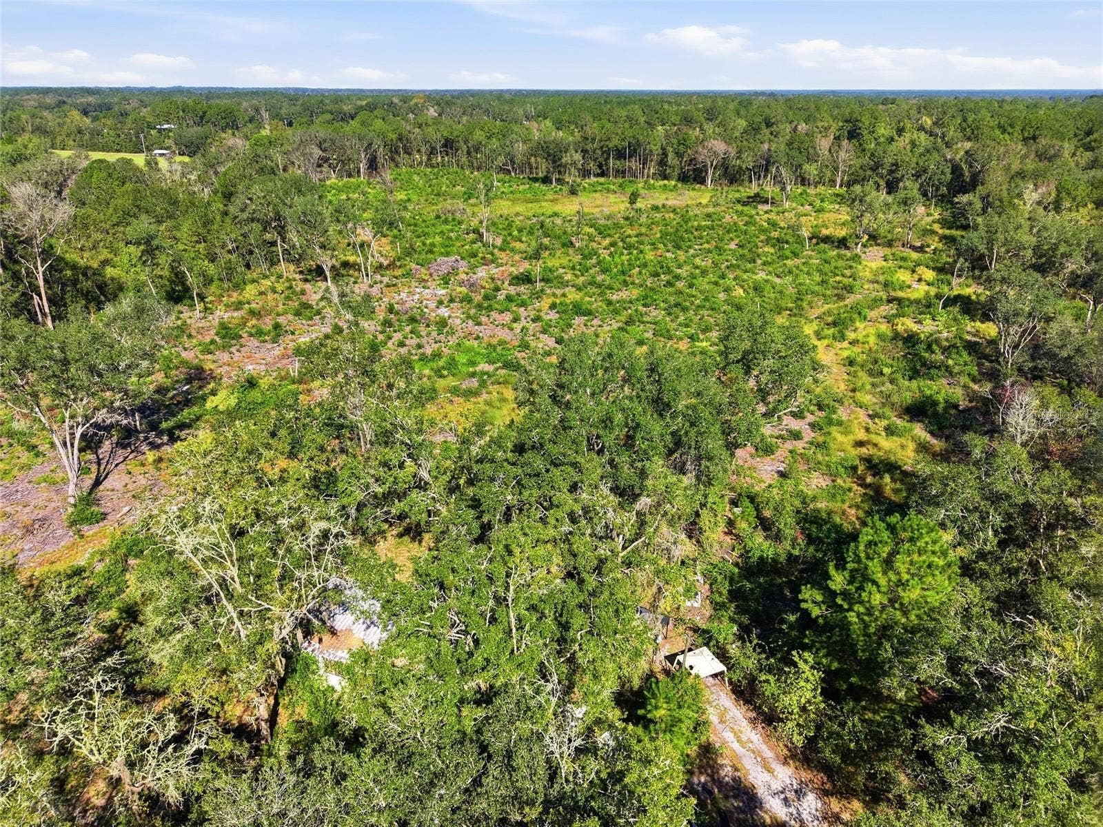 4408 W STATE ROAD 235, La Crosse, FL 32658