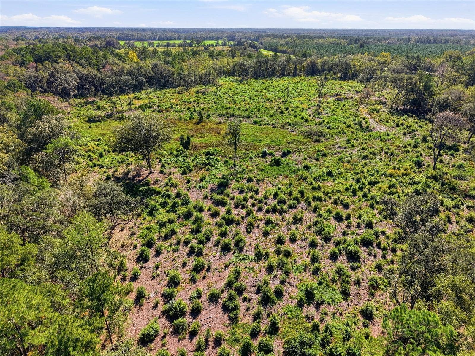 4408 W STATE ROAD 235, La Crosse, FL 32658