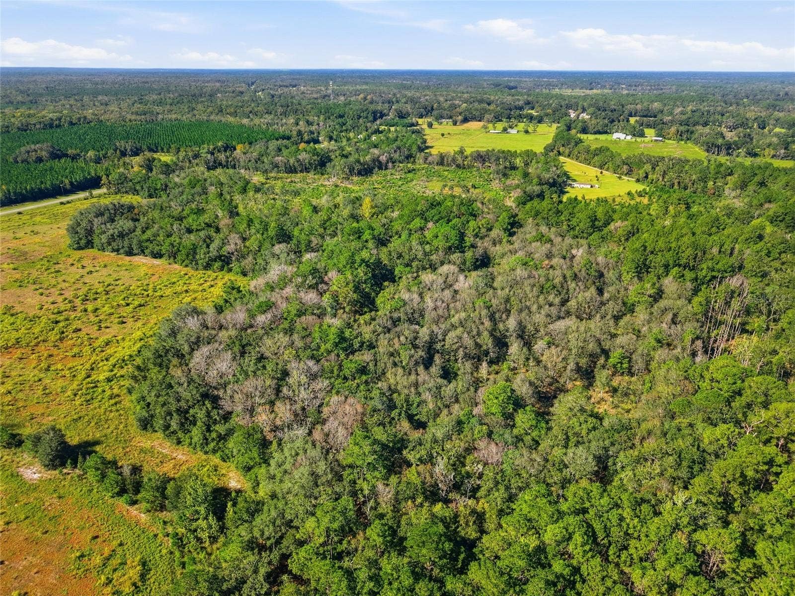 4408 W STATE ROAD 235, La Crosse, FL 32658