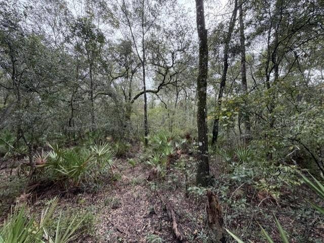 1030 NW 78TH AVENUE, Bell, FL 32619