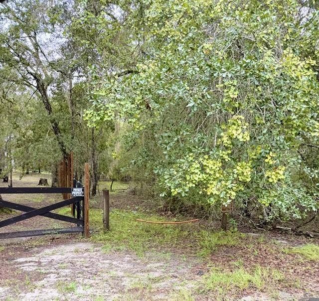 1030 NW 78TH AVENUE, Bell, FL 32619