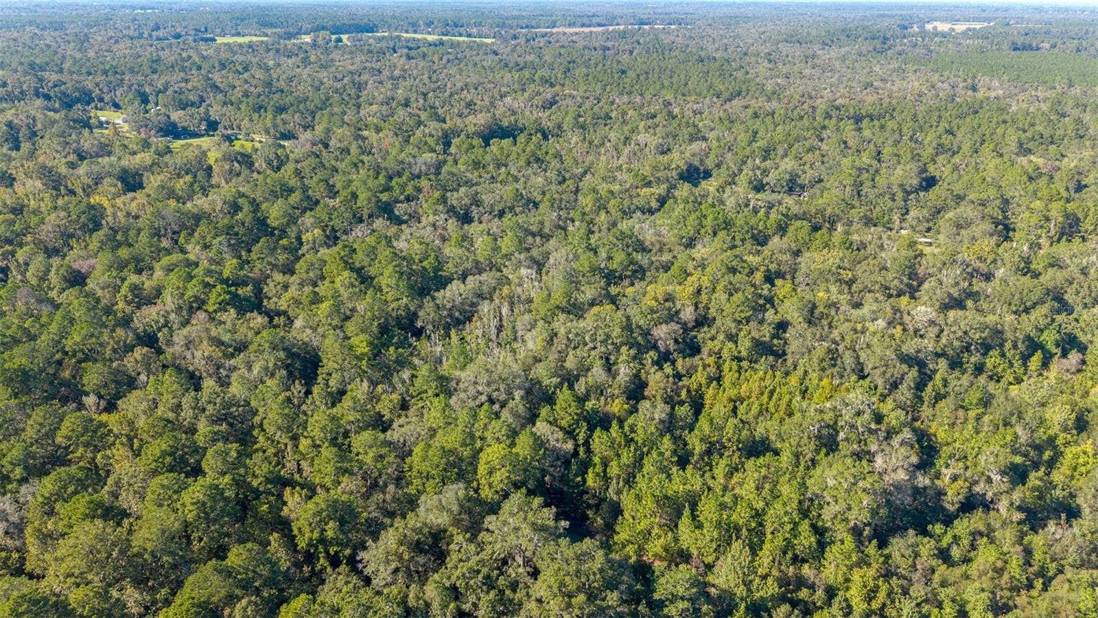 4817 NW 244TH AVENUE, Alachua, FL 32615 4817 NW 244TH AVENUE, Alachua, FL 32615