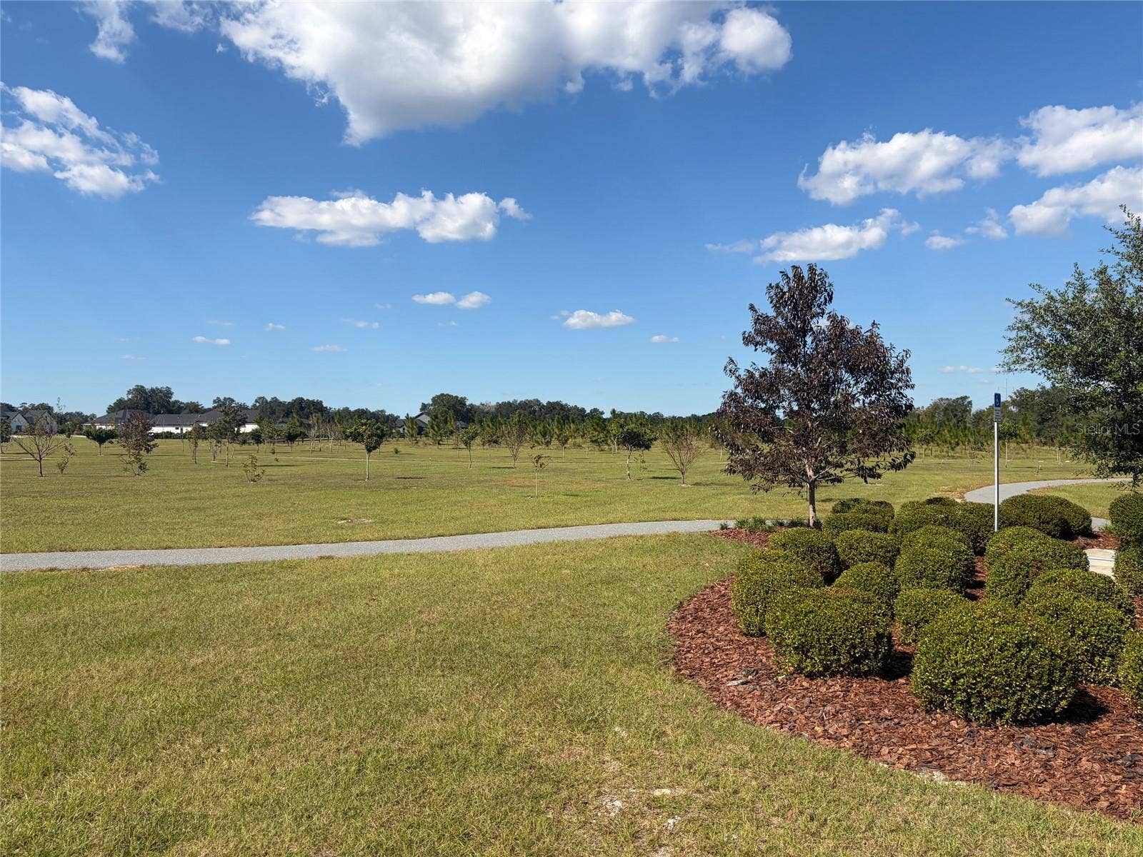 5890 SW 124TH WAY, Archer, FL 32618 Conservation area