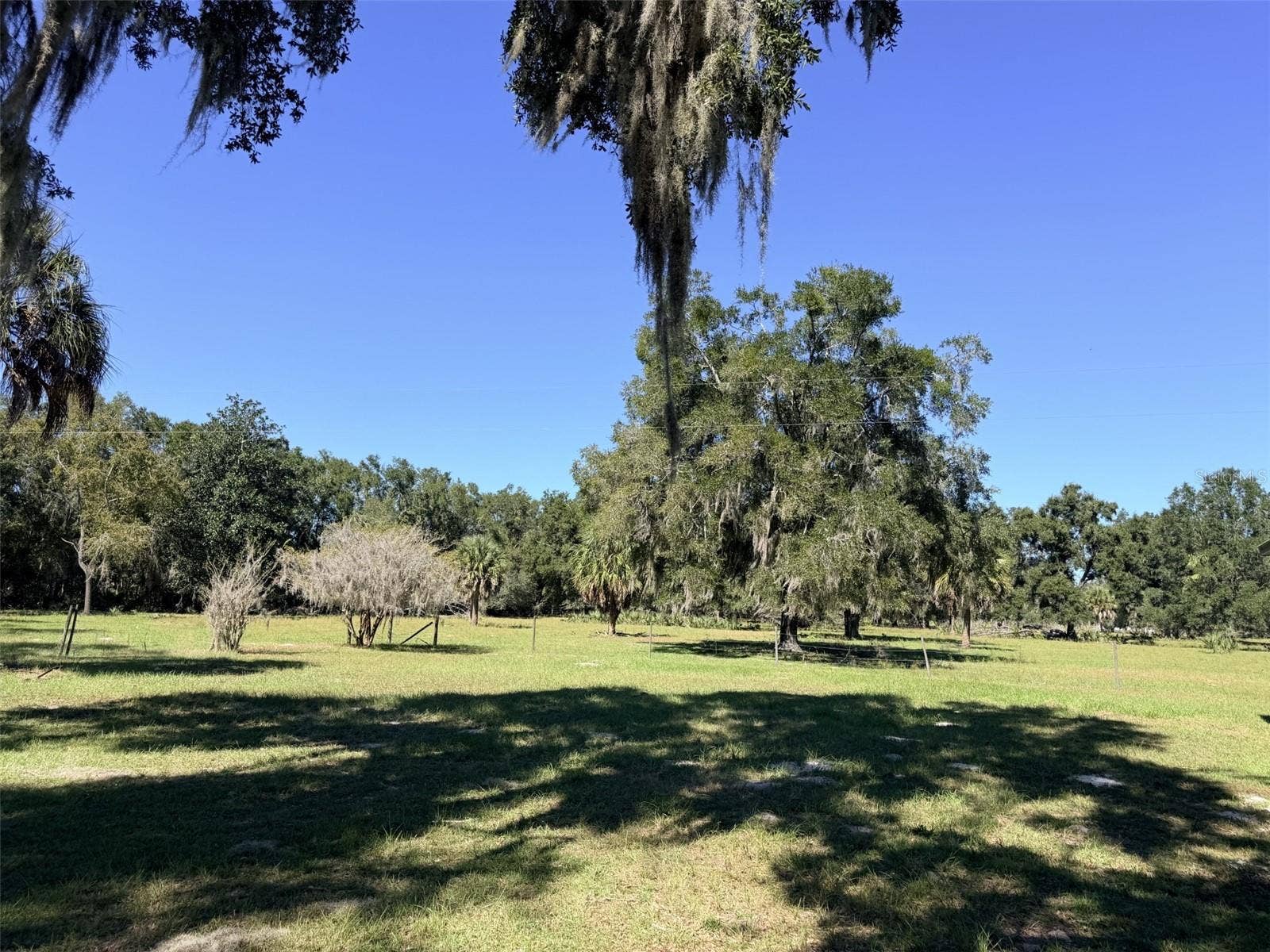 4251 NW 100TH AVENUE, Chiefland, FL 32626