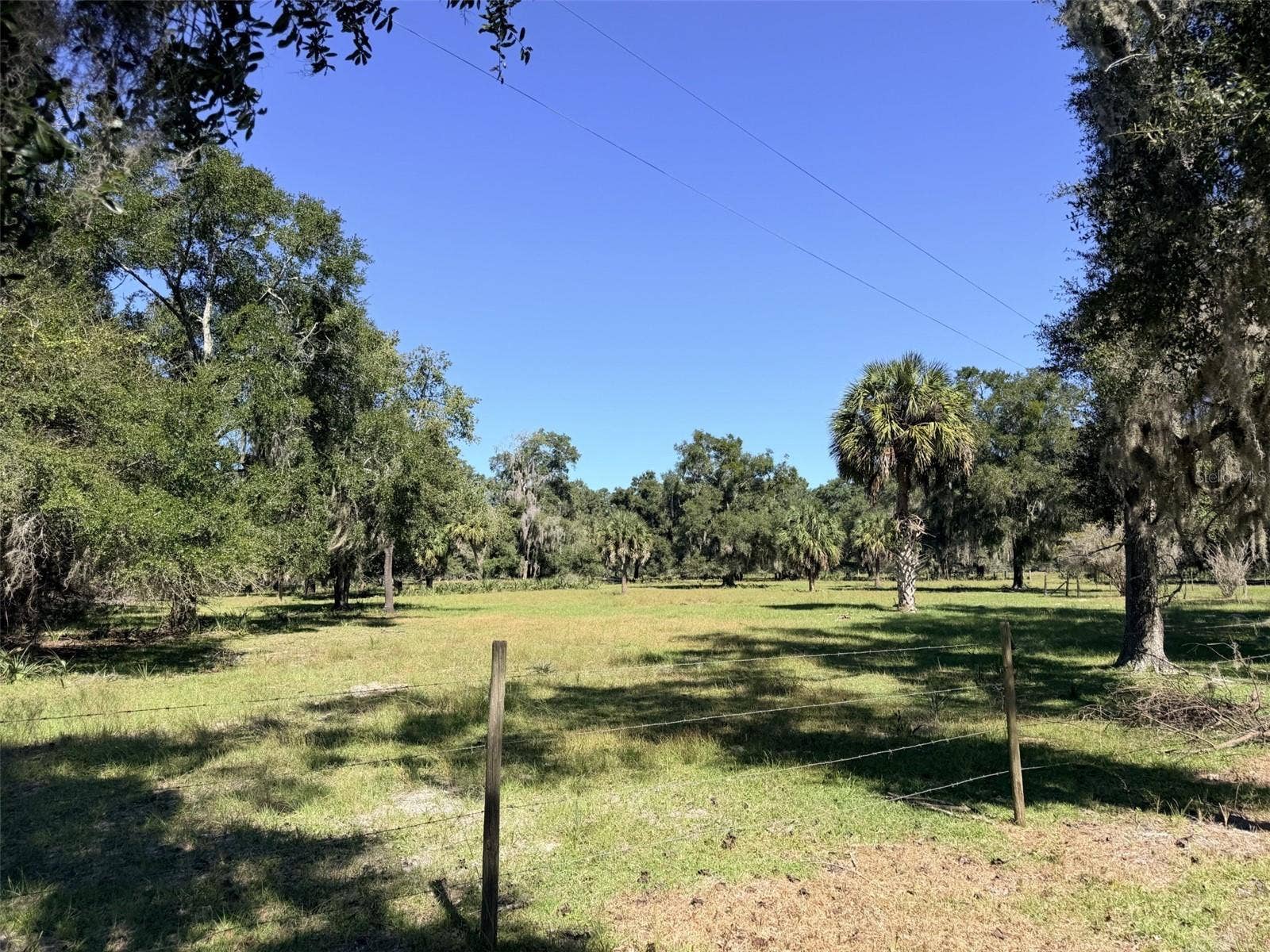 4251 NW 100TH AVENUE, Chiefland, FL 32626
