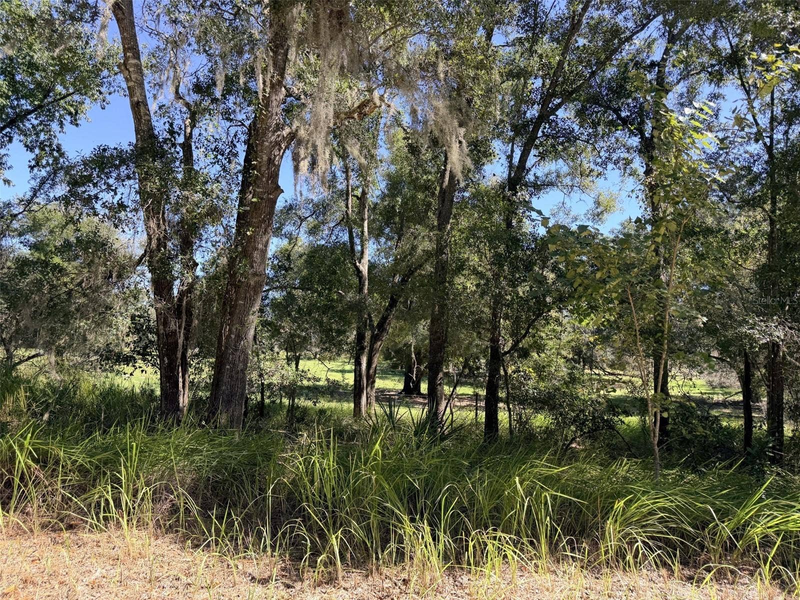 4251 NW 100TH AVENUE, Chiefland, FL 32626