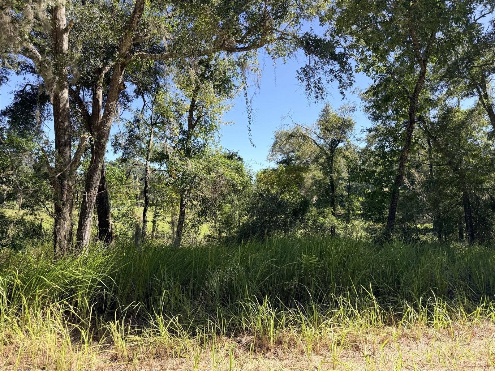 4251 NW 100TH AVENUE, Chiefland, FL 32626