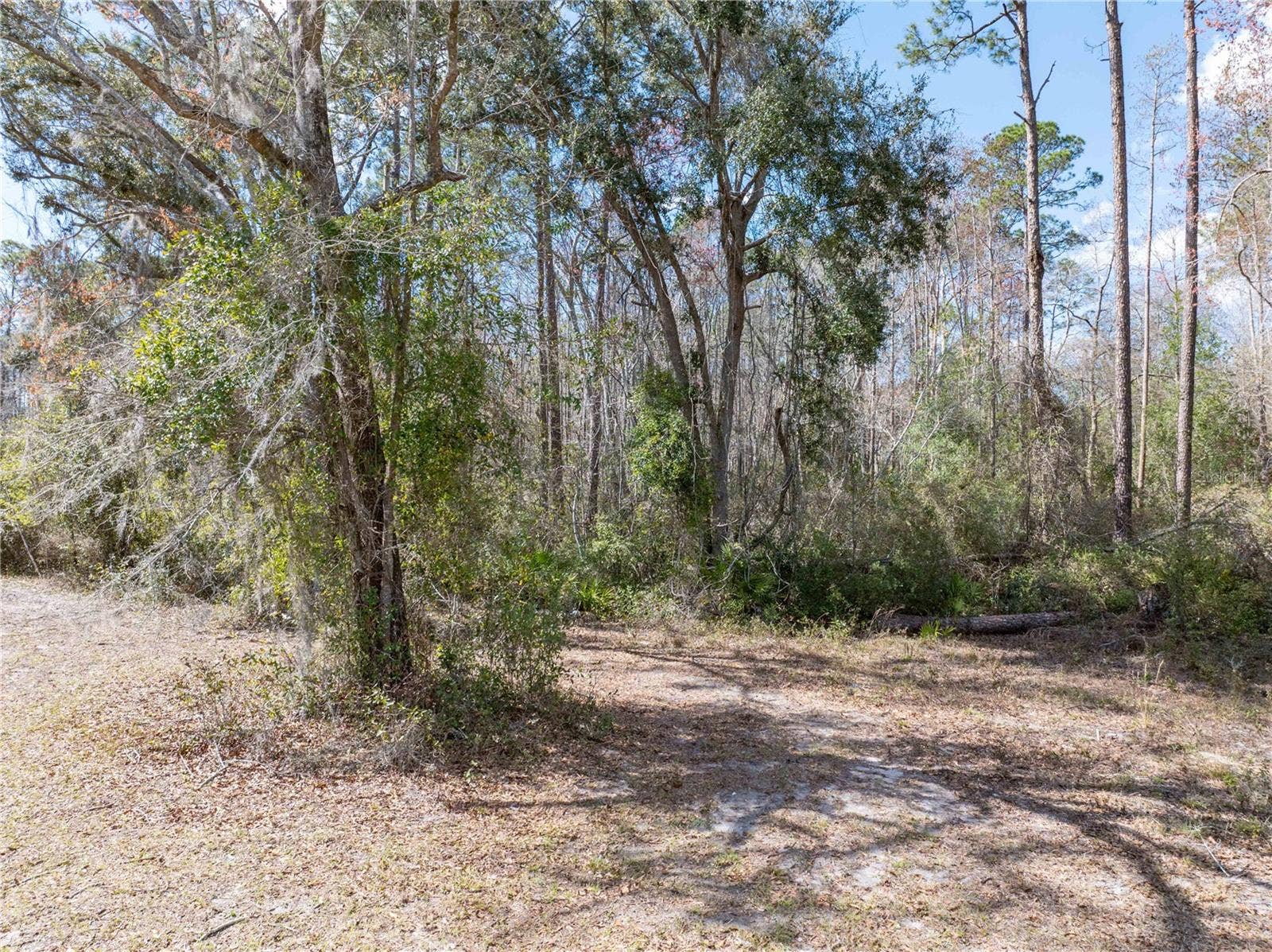 375 NW LAMAR PLACE, Lake City, FL 32055 375 NW LAMAR PLACE, Lake City, FL 32055