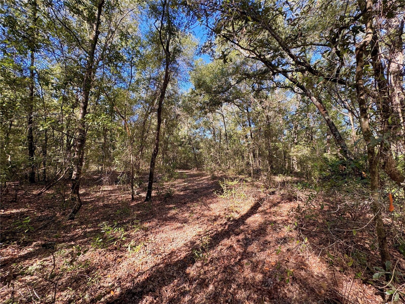 NE CR 340, High Springs, FL 32643 NE CR 340, High Springs, FL 32643