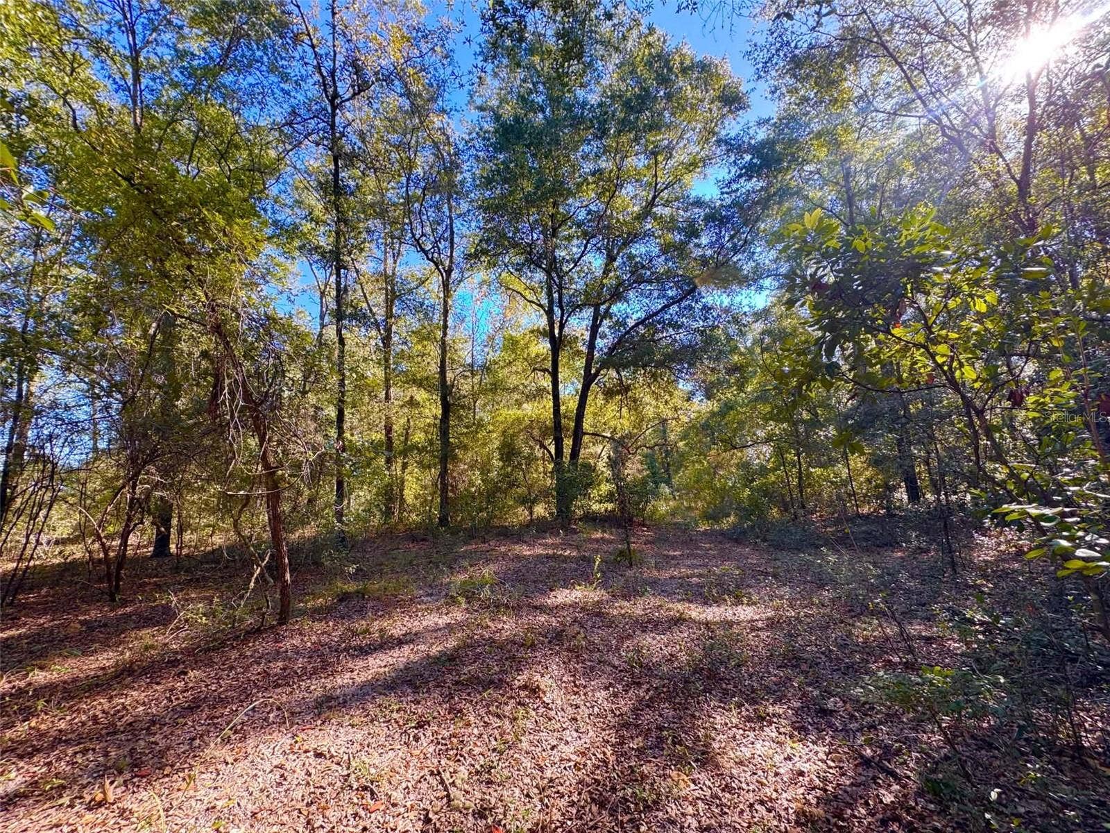 NE CR 340, High Springs, FL 32643 NE CR 340, High Springs, FL 32643