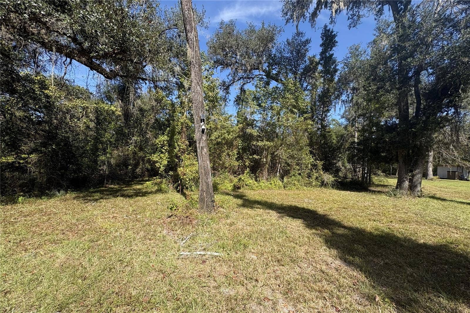 3824 NE CHERVIL DRIVE, Lee, FL 32059 3824 NE CHERVIL DRIVE, Lee, FL 32059