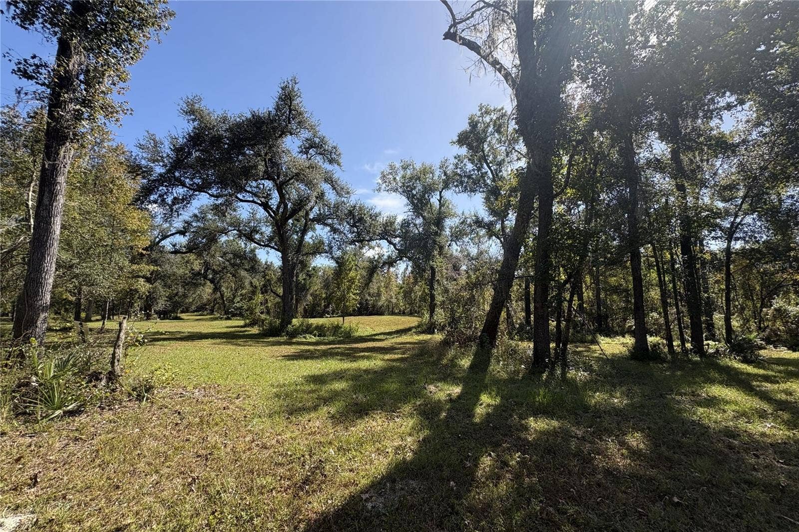 3824 NE CHERVIL DRIVE, Lee, FL 32059 3824 NE CHERVIL DRIVE, Lee, FL 32059