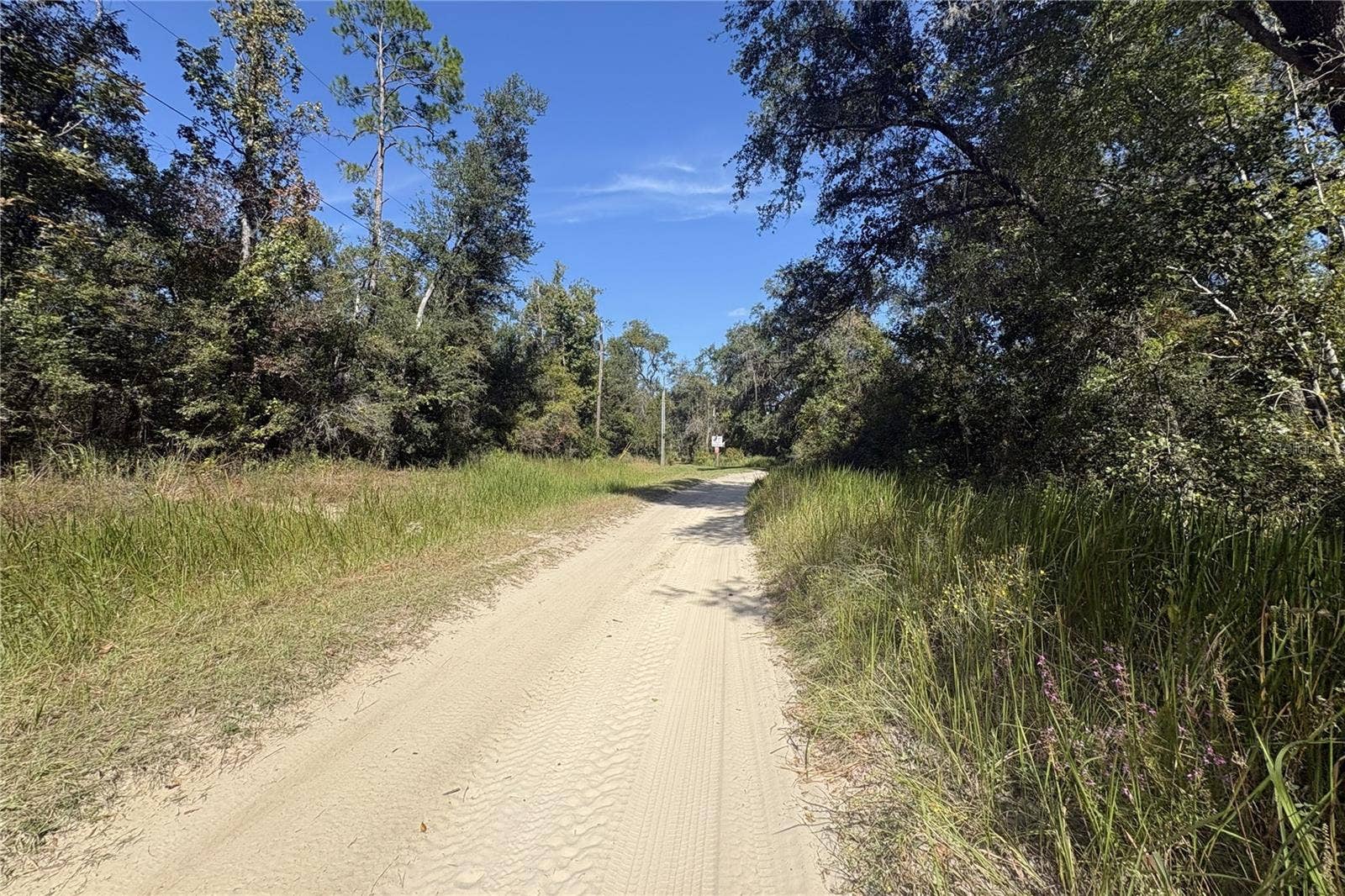3824 NE CHERVIL DRIVE, Lee, FL 32059 3824 NE CHERVIL DRIVE, Lee, FL 32059