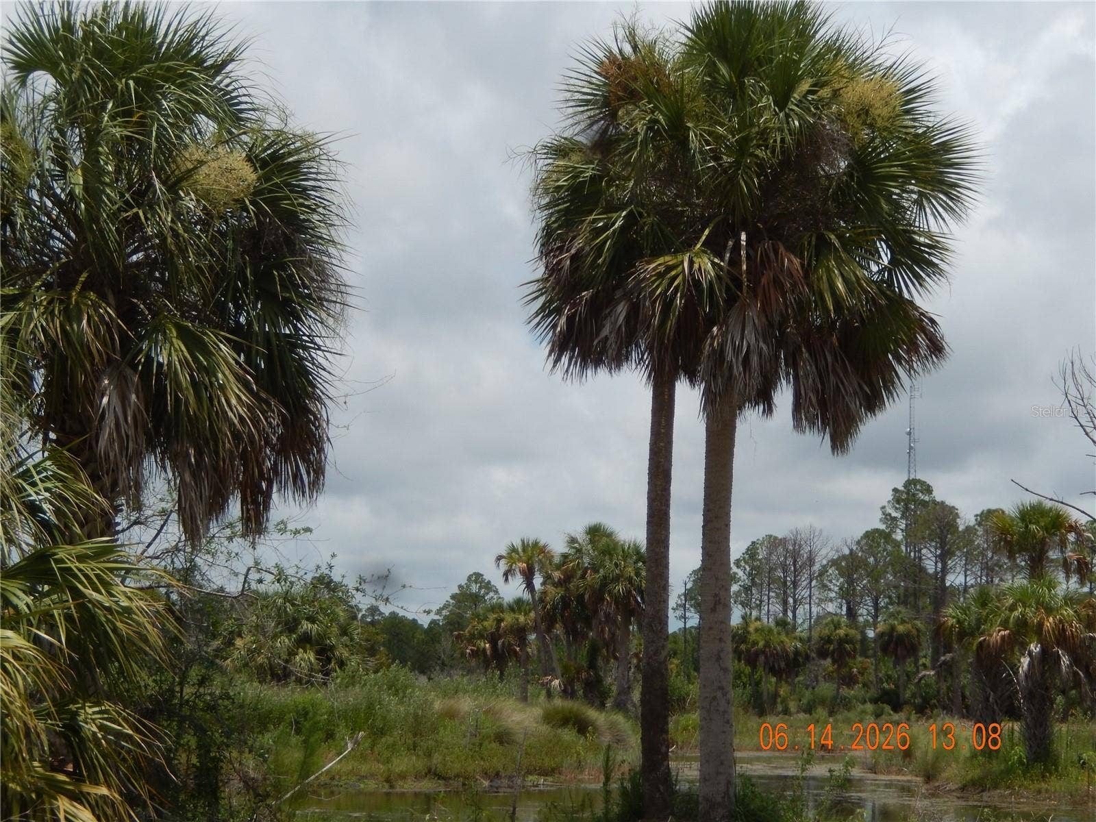 00 SW 104 STREET, #LOT 7, Cedar Key, FL 32625 VIEW ALONG PLANTATION DRIVE