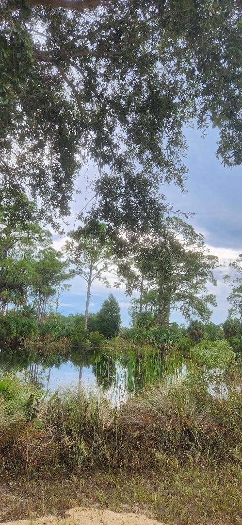 00 SW 104 STREET, #LOT 7, Cedar Key, FL 32625 VIEW ALONG PLANTATION DRIVE