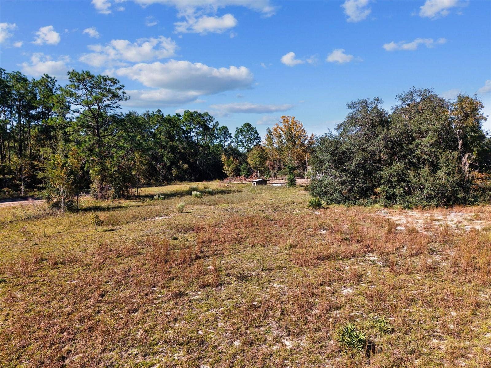 5650 NE 110TH AVENUE, Bronson, FL 32621 5650 NE 110TH AVENUE, Bronson, FL 32621
