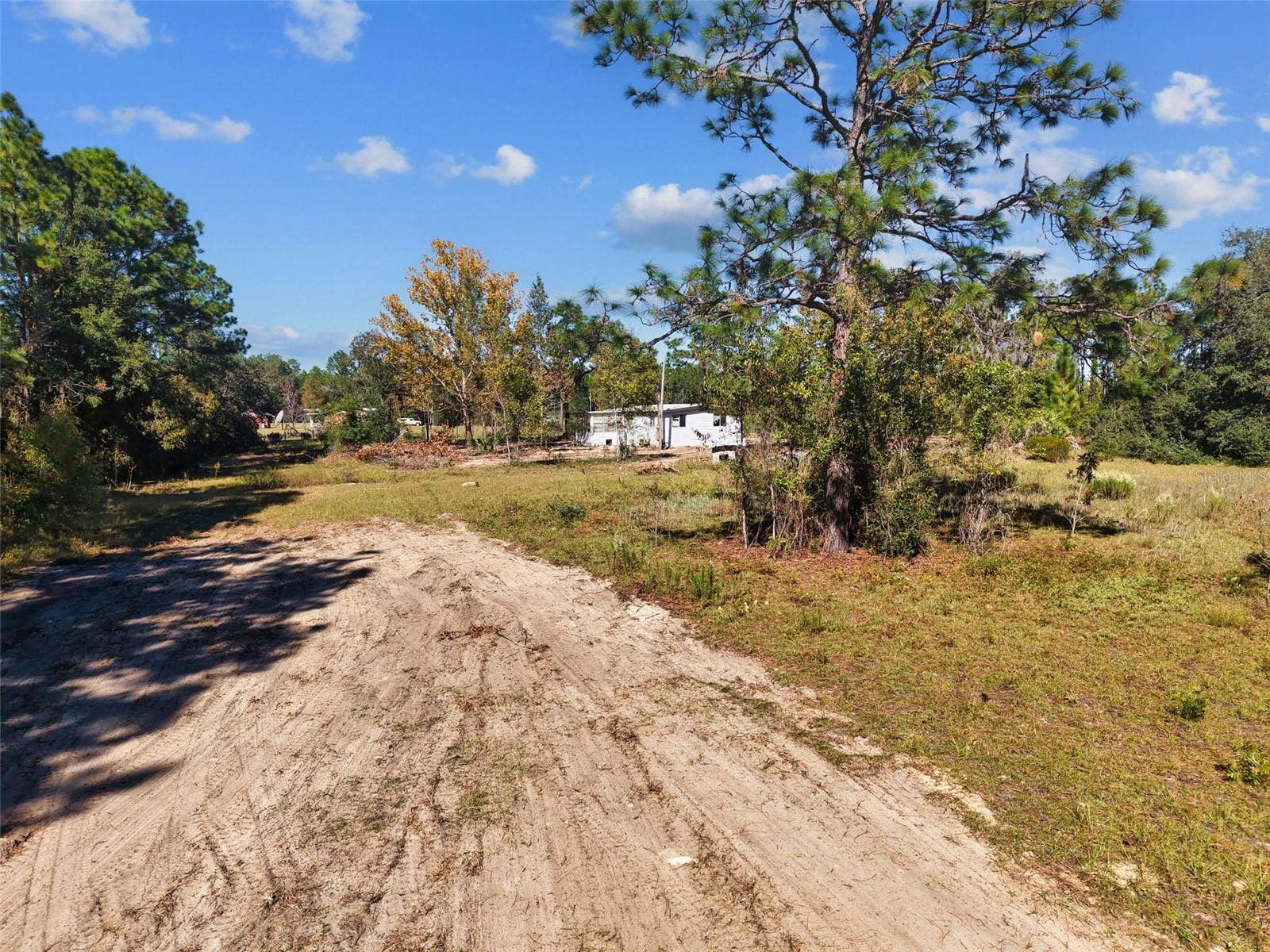 5650 NE 110TH AVENUE, Bronson, FL 32621 5650 NE 110TH AVENUE, Bronson, FL 32621