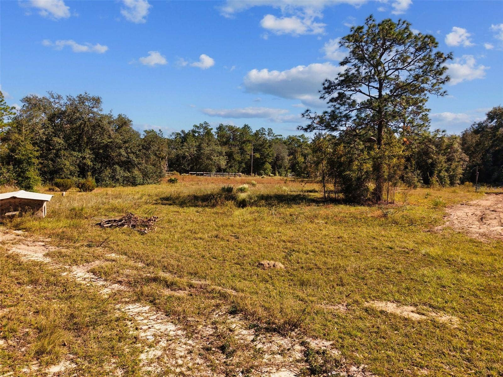 5650 NE 110TH AVENUE, Bronson, FL 32621 5650 NE 110TH AVENUE, Bronson, FL 32621